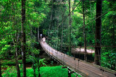 Borneo, Kuala Lumpur & Singapore