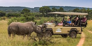 afrikan safari kokemuksia